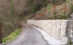 Borgo Fiorito